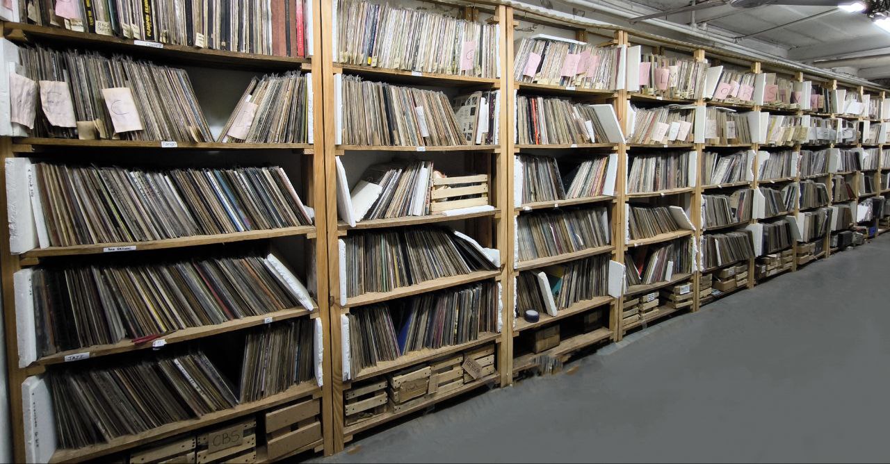 Estantería de vinilos